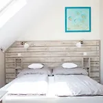 Feszek -etel Es Hotel-zanka *