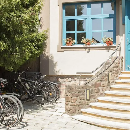 Hotel Feszek -etel Es Hotel- Balatonszárszó