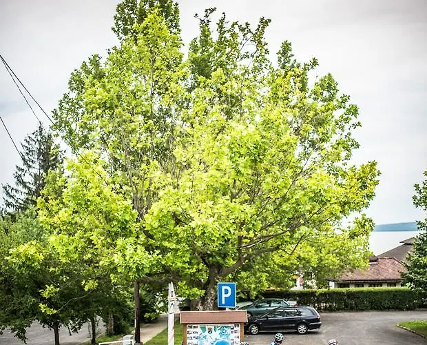 Feszek -etel Es Hotel-bed & Breakfast - Bike Point Отель